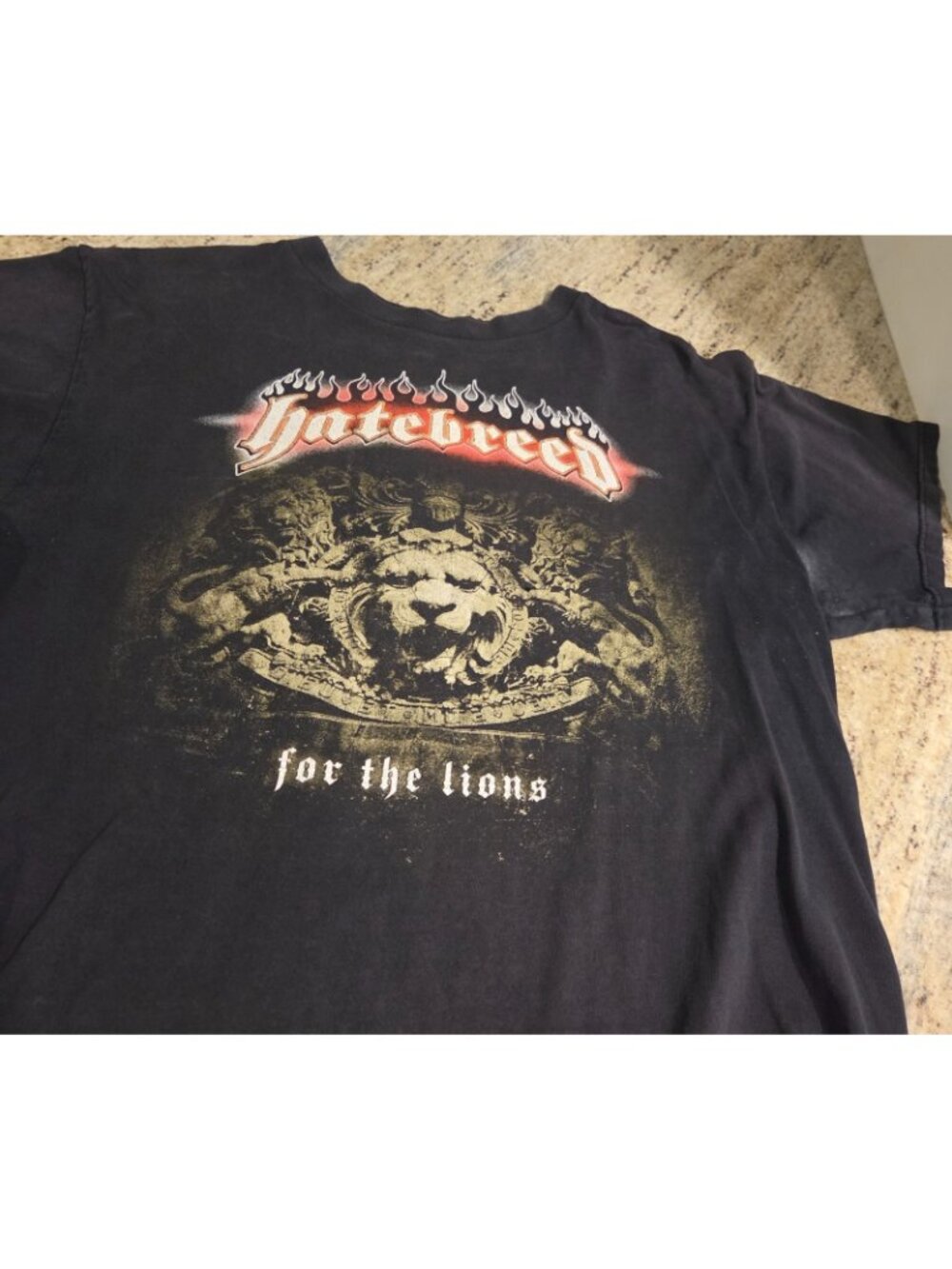 Vintage Hatebreed For The Lions Shirt Men’s Size Medium *holes - Picture 8 of 15